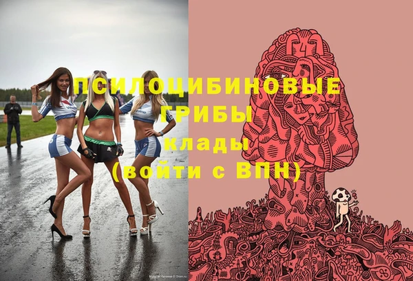 СК Алзамай