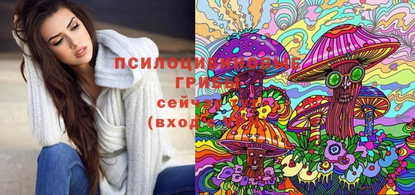 mdpv Алексин