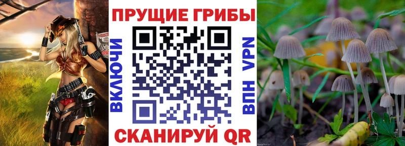 даркнет сайт  Сосновый Бор  Псилоцибиновые грибы MAGIC MUSHROOMS 