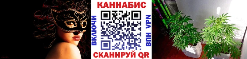 купить наркоту  Сосновый Бор  МАРИХУАНА SATIVA & INDICA 