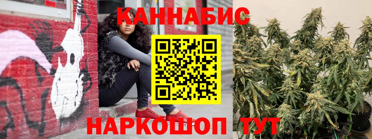 Марихуана Bruce Banner  Марихуана White Widow  Бошки марихуана SATIVA & INDICA  МАРИХУАНА сатива  Сосновый Бор  Вход с VPN 